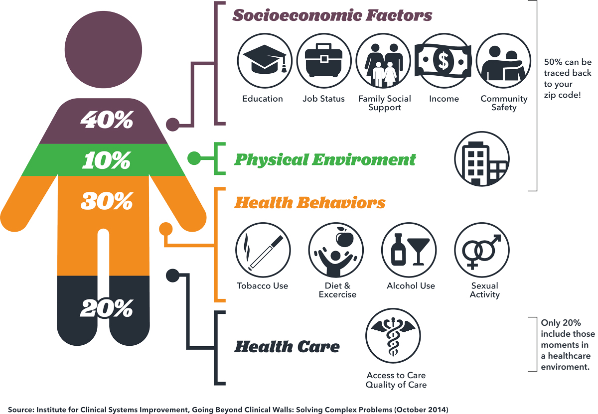 Social Determinants of Health Infographic