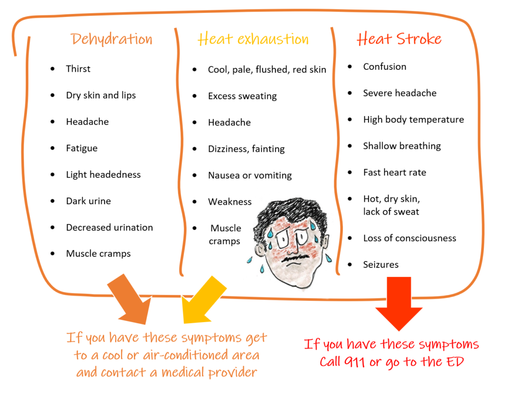 Day Drinking Alcohol Effects – Heat Stroke Sunburn